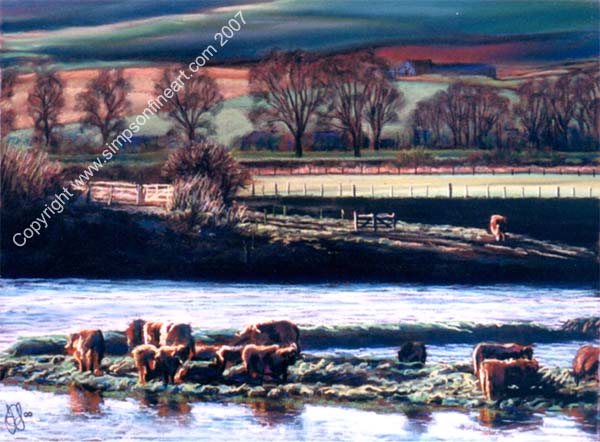 Cattle Grazing On The River Earn